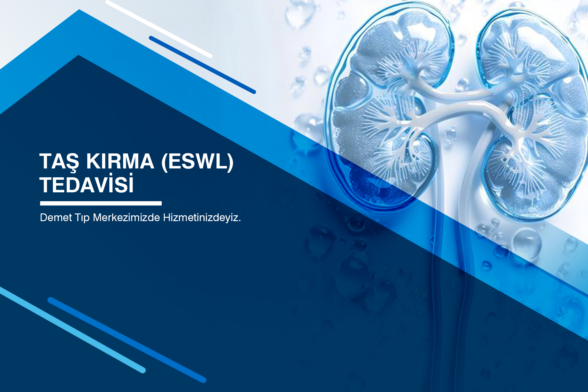 Lokman Hekim Sağlık Grubu